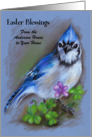 Custom Easter From Our Home Blue Jay with Spring Flowers Pastel Art card
