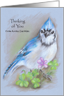 Blue Jay with Spring Flowers Pastel Thinking of You card