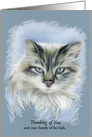 Custom Thinking of You Gray Longhair Cat Pastel Portrait card