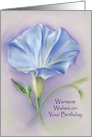 Floral Birthday Heavenly Blue Morning Glory Pastel Art card