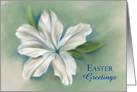 Easter Greetings White Azalea Flower Pastel Art card