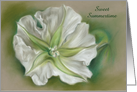 Custom Summer Season White Moonflower Pastel Art card