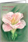 Custom Warm Summer Wishes Pink Daylily Pastel Art card