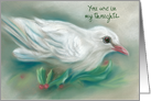 Custom Thinking of You Winter White Dove in Holly card