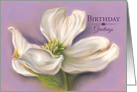 Birthday Greetings White Dogwood Flower Pastel Artwork card