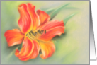 Orange Daylily Flower Pastel Art All Occasion Blank card