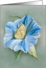 Blue Morning Glory with Butterfly Pastel Art All Occasion Blank card