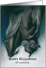 Custom Black Bat with Claw Halloween for Relative Grandson card
