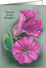 Magenta Pink Petunias Pastel Art Custom Thinking of You card