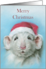 Merry Christmas Cute White Rat with Santa Hat Pastel Art card