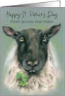 Custom St Patricks Day Across the Miles Whimsical Sheep with Shamrocks card