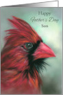 Custom Fathers Day for Son Red Male Cardinal Songbird Portrait Pastel card