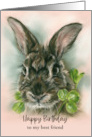 Birthday Best Friend Brown Bunny Rabbit in Clover Pastel Custom card