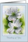 Thinking of You White Dogwood Pair Spring Flower Pastel Custom card