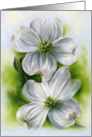 Easter White Dogwood Pair Spring Pastel Flower Art card