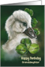 Granddaughter Birthday Swan Chick Pastel Bird Art Custom card