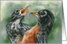 Thinking of You Robin Feeding Chick Pastel Bird Art Custom card