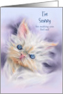 I’m Sorry Cute Persian Kitten with Blue Eyes Custom card