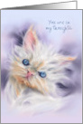 Thinking of You Cute Persian Kitten with Blue Eyes Pet Art Custom card