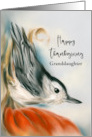 Thanksgiving Granddaughter Nuthatch on Autumn Pumpkin Bird Custom card