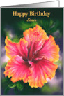Birthday for Sister Hibiscus Colorful Tropical Flower Personalized card