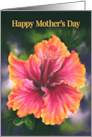 Happy Mothers Day Hibiscus Colorful Tropical Flower card