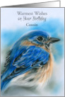 Birthday Wish for Cousin Bluebird in Winter Pastel Bird Art Custom card