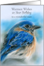 Birthday Wish for Him Bluebird in Winter Pastel Bird Art Personalized card