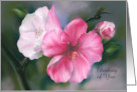 Thinking of You Pink Quince Flowers Pastel Floral Art Custom card