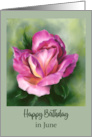 Birthday in June Rose Colorful Floral Pastel Art card