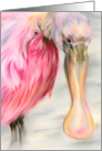 Any Occasion Roseate Spoonbill Water Bird Pastel Art Blank card