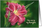 Thinking of You Red Daylily Flower on Green Personalized card