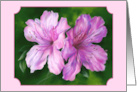 Any Occasion Azalea Pink and Magenta Flowers Pastel Art Blank card