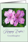 Easter for Granddaughter Azalea Pink and Magenta Flowers Personalized card