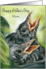Mothers Day for Mom Robin Chicks in Nest Bird Art Personalized card