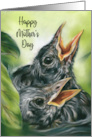 Mothers Day Robin Chicks in Nest Pastel Bird Art card