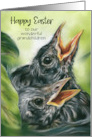 Easter for Grandchildren Robin Chicks in Nest Pastel Bird Art Custom card