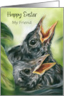 Easter for Friend Robin Chicks in Nest Pastel Bird Art Personalized card