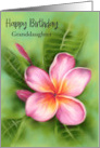 Birthday for Granddaughter Frangipani Plumeria Tropical Flower Custom card