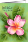 Feel Better Frangipani Plumeria Tropical Flower Pastel Art card