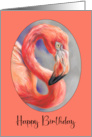 Happy Birthday Colorful Flamingo Bird Art Profile card