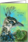 Thinking of You Peahen Bird Portrait Pastel Art Custom card