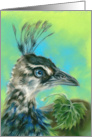 Any Occasion Peahen Bird Portrait Pastel Art Blank card