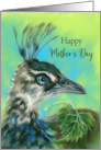 Happy Mothers Day Peahen Bird Portrait Pastel Art card