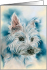 Any Occasion White West Highland Terrier Dog Portrait Blank card