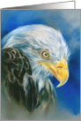 Any Occasion Bald Eagle Blue Pastel Art Blank card