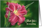 Thank You Gift Red Daylily Flower on Green Personalized card