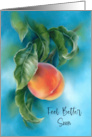 Feel Better Peach Fruit with Leaves Pastel Art card