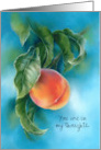 Thinking of You Peach Fruit with Leaves Pastel Art Custom card