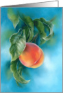 Any Occasion Peach Fruit with Leaves Pastel Art Blank card